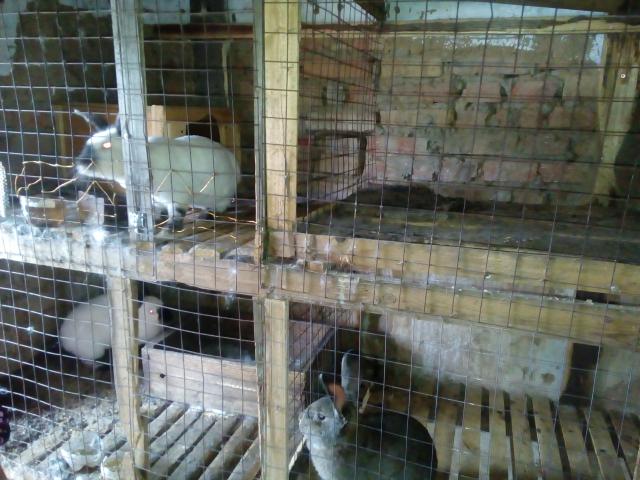 IMG 20190522 151820