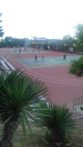 IMG-20190624-WA0011