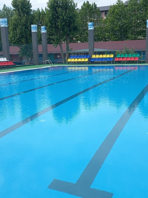 zori Anapi 11