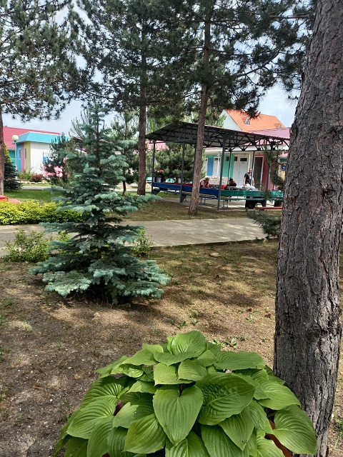 zori Anapi 9
