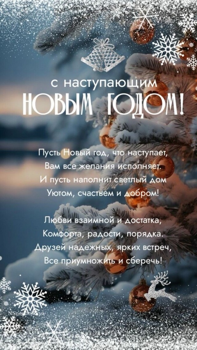 foto 2025 01 09 08 44 001